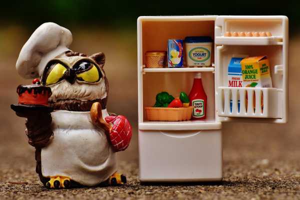 Toy fridge and chef figure